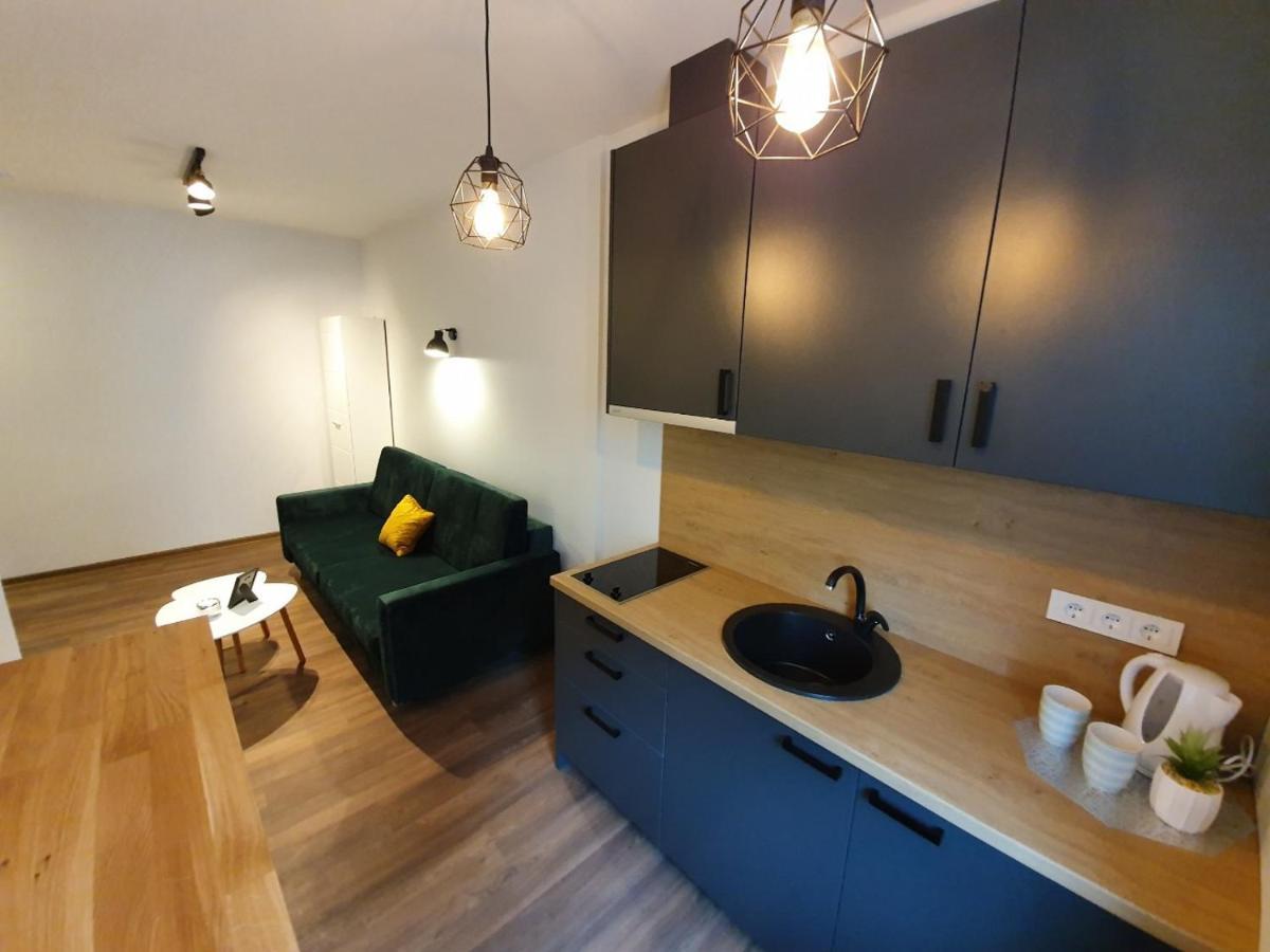 Oak House Apartments 考纳斯 外观 照片